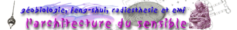 http://www.geobiologie.fr.st/